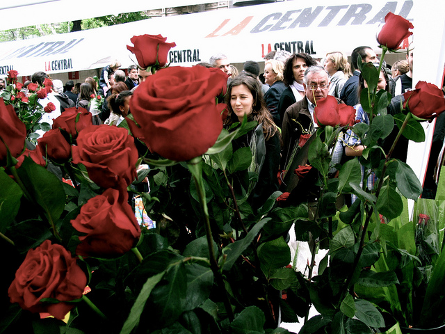 Sant Jordi